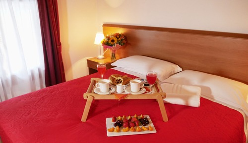 Standard Double Room Single Use