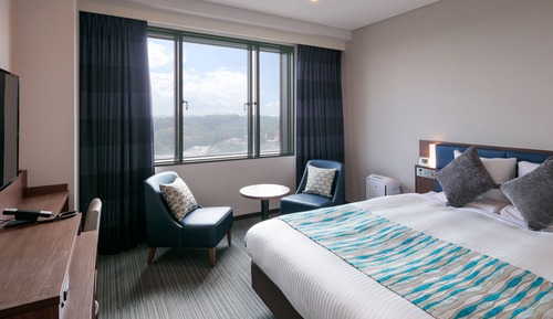 Superior Queen Room, Non Smoking