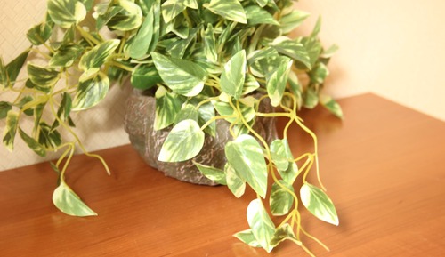 Standard Family Room for 8 Guests