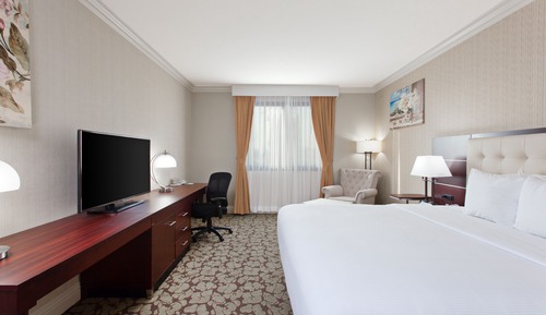 Standard Room, 1 King Bed, Roll-in Shower, Non Smoking (Communications, Roll-In Shower)