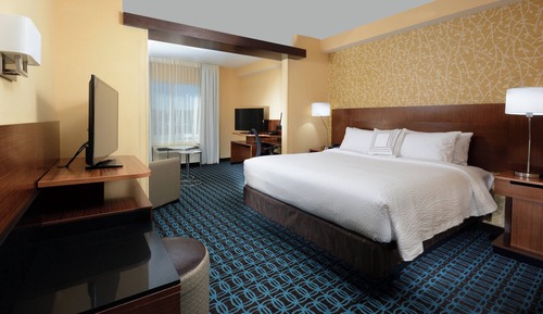 Suite, 1 King Bed with Sofa bed