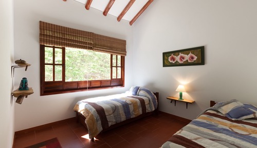 Basic Single Room, 1 Twin Bed, Garden View