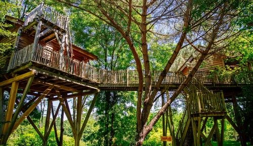 Tree House, Multiple Beds, Non Smoking (Cabane Palombière)