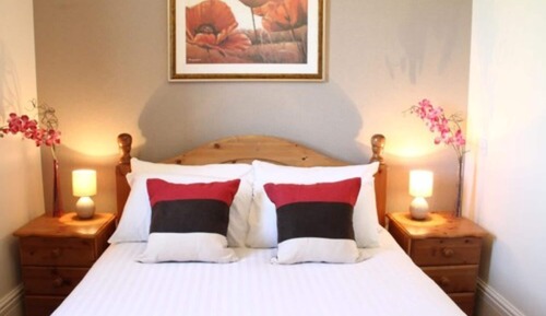 Basic Double Room