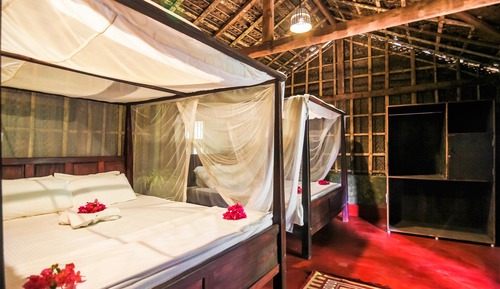 Family Cabin, Multiple Beds