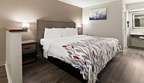 Superior Room, 1 King Bed, Non Smoking (Jetted Tub)