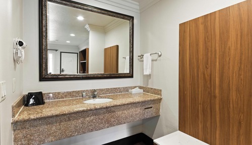 Standard Room, 1 King Bed, Non Smoking, Refrigerator & Microwave