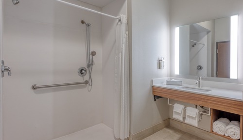 Standard Room, 1 King Bed, Roll-in Shower (Mobility, Roll-In Shower)