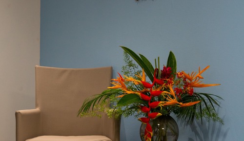 Standard Studio, Kitchenette (28 m2)