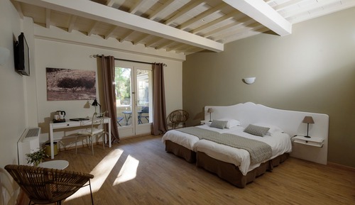 Superior Twin Room, Terrace, Park View