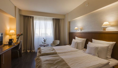 Business Single Room