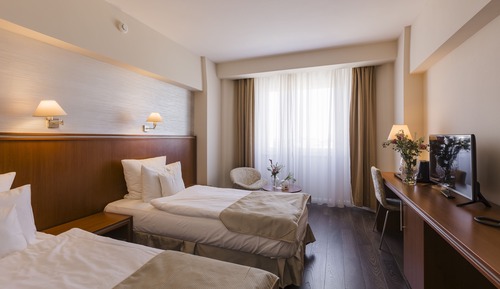 Business Double Room
