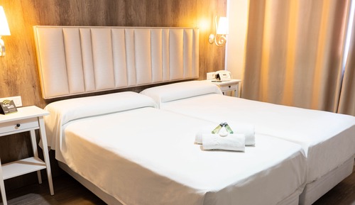 Standard Double Room Single Use