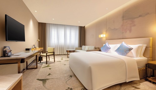 Business Double Room