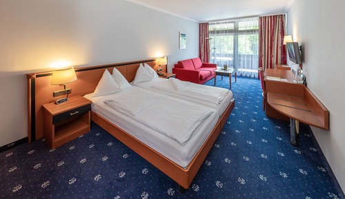 Double Room Single Use