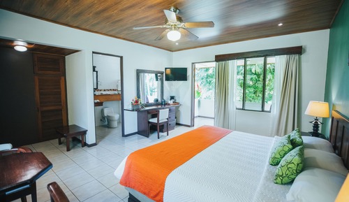 Standard Room, 1 King Bed