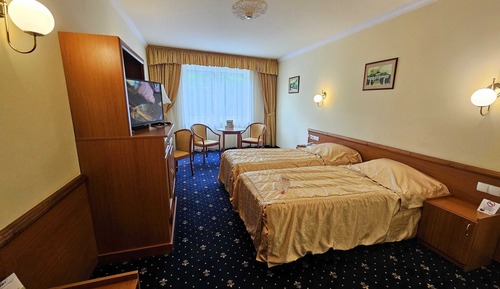 Superior Double or Twin Room