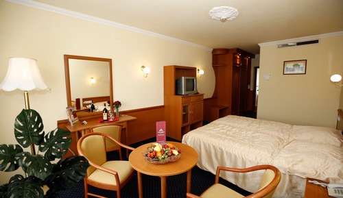 Superior Double or Twin Room