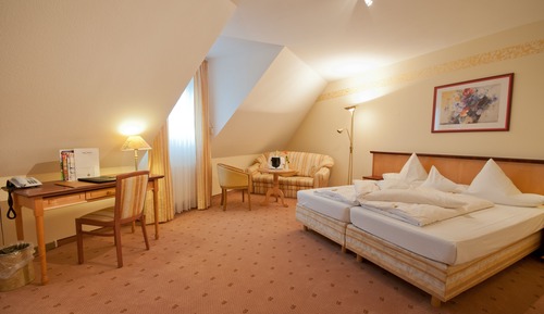 Junior Studio Suite