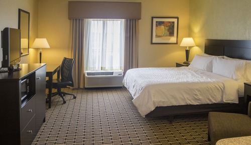 Standard Room, 1 King Bed, Accessible (Roll-In Shower)