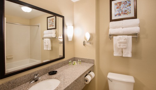 Suite, 1 King Bed (Additional Living Area)