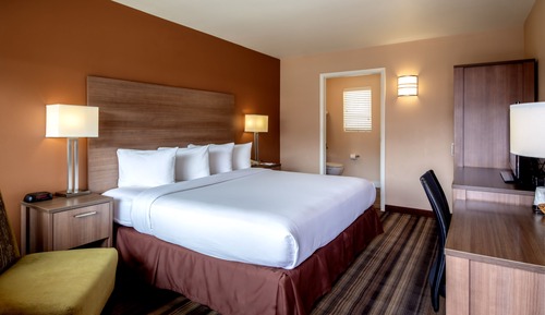 Junior Suite, 1 King Bed with Sofa bed