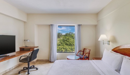Superior Room, 1 King Bed (Expedia )