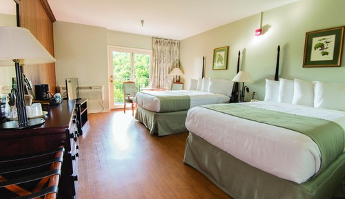 Standard Room, Balcony, Mountain View