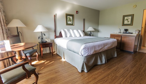 Room, 1 King Bed