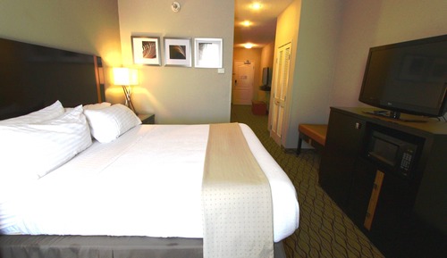 Suite, 1 King Bed with Sofa bed (Living Area)