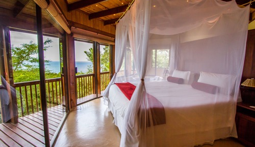 Suite, 1 King Bed, Ocean View