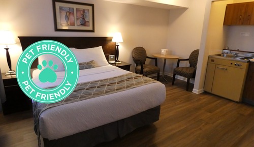 Standard, 1 Queen with Kitchenette (Pet Friendly)
