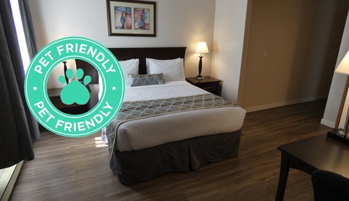 Standard, 1 Queen Bed (Pet Friendly)
