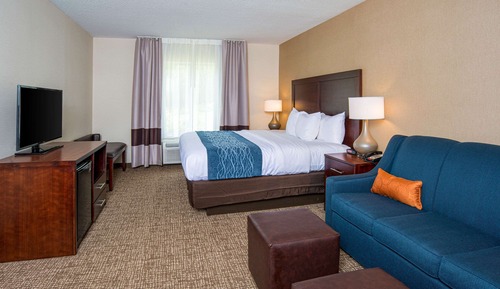 Suite, 1 King Bed with Sofa bed, Accessible, Non Smoking