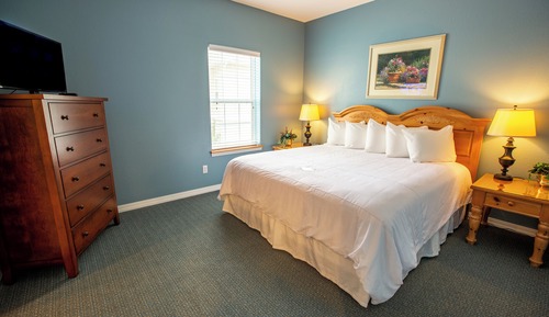Standard Condo, 1 Bedroom, Kitchen