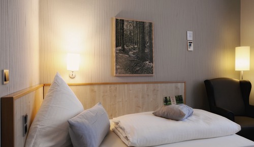 Classic Single Room