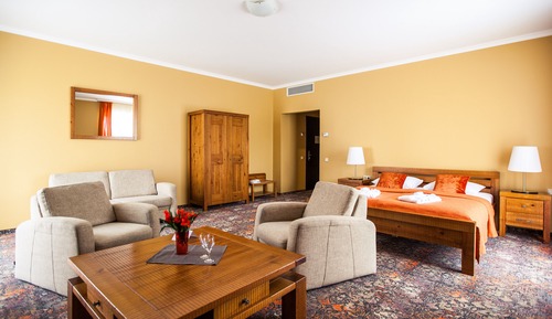 Junior Suite, 1 Double Bed