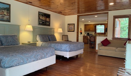 Deluxe Suite, Kitchen, Courtyard Area,