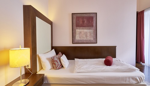 Superior Single Room