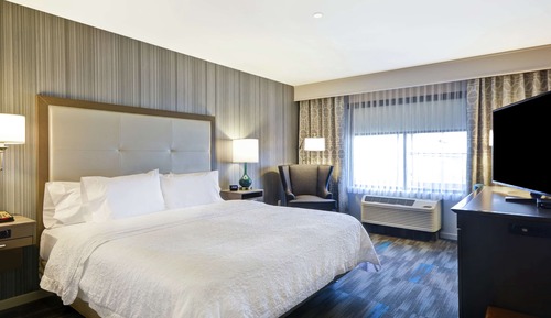 Room, 1 King Bed, Accessible, Non Smoking