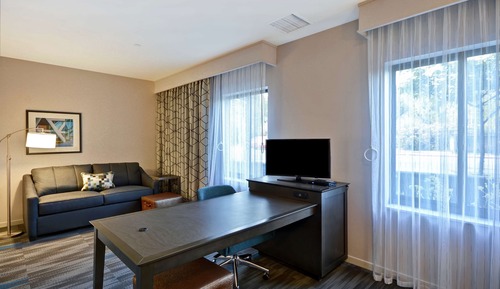 Studio, 1 King Bed, Accessible (Roll-In Shower, Mobility & Hearing)