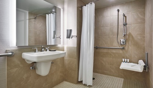 Traditional Room, 1 King Bed (Mobility Accessible, Roll-In Shower)