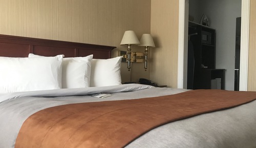 Comfort Room, 1 Queen Bed