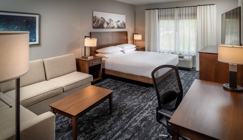 Room, 1 King Bed with Sofa bed