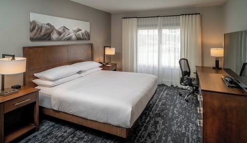Executive Suite, 1 King Bed with Sofa bed