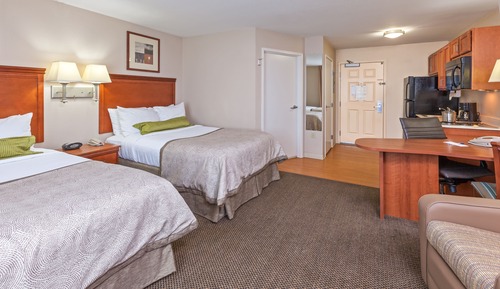 Studio Suite, 2 Double Beds