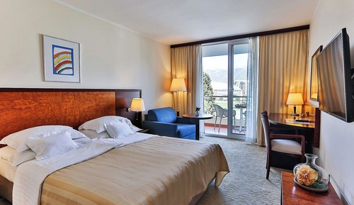 Basic Double or Twin Room, Park View