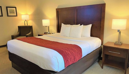 Basic Room, 1 King Bed, Accessible, Non Smoking (Roll-In Shower)