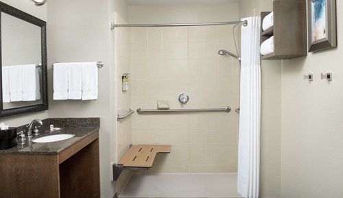 Studio Suite, 1 King Bed, Accessible, Kitchen (Roll-In Shower)