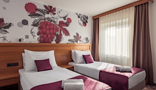 Standard Double or Twin Room